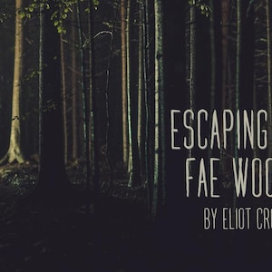 Escaping the Feenwald Digitales TTRPG Rollenspiel