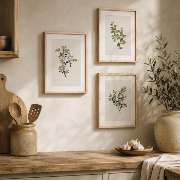 Blueberry Set of 3 Prints, Botanical Poster, Vintage Kitchen Wall Art, Cottage & Farmhouse Botanical Wall Art, DIGITAL DOWNLOAD, BT052