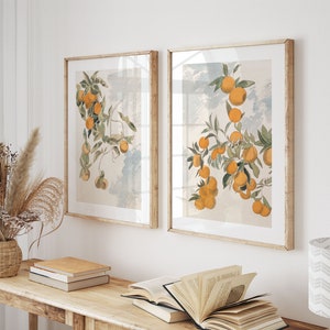 PRINT & SHIP, Orange Tree Vintage Art, Set of 2 Prints, Orange Tree Print, Mediterranean Wall Art, Vintage Kitchen Printed Wall Art, Mailed Art Print, Minimalist Wall Art, Printed Shipped, Summer Cottage Print, Beach House Wall Art, French Cottage