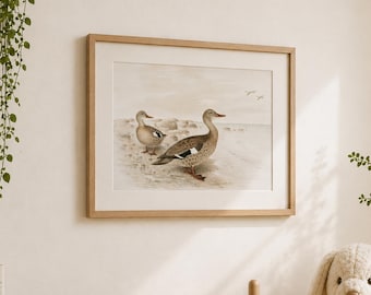 Vintage Ducks Illustration, Antique Ducks Print, Nursery Wall Art, Cottage & Farmhouse Print, Kids Room Decor, PRINTABLE WALL ART - NU015
