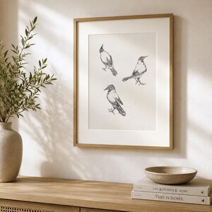 Op de afbeelding: Een ingelijste prent met drie geschetste vogels in een minimalistische stijl. Het kunstwerk zit in een licht houten lijst met een witte passe-partout. De vogels zijn afgebeeld in grijstinten en zwart op een crèmekleurige achtergrond. De prent wordt tentoongesteld op een houten kast.