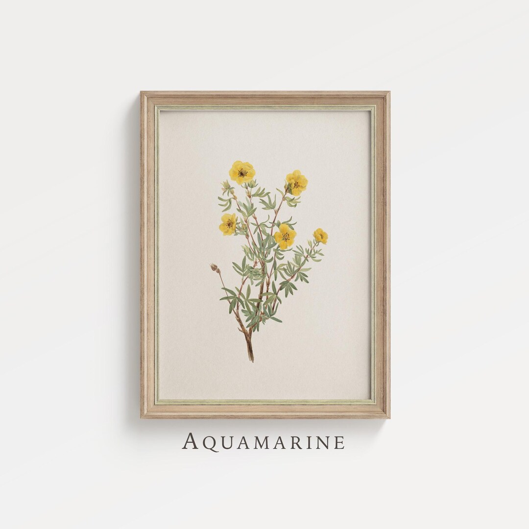 ヴィンテージボタニカルプリント：夏の野花の水彩画（デジタル