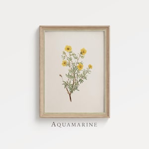 affiche botanique vintage, étude aquarelle de petites fleurs, art mural pour chambre d'enfant, impression numérique chalet et ferme, téléchargement numérique - BT076