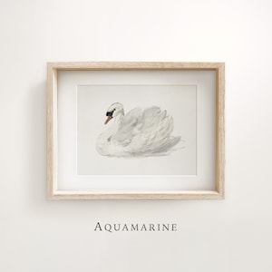Vintage Swan Print, Vintage Wall Art, Swan Illustration, Neutral Nursery Wall Art, Minimalist Vintage Print, DIGITAL DOWNLOAD - NU013