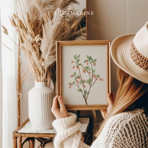 Póster botánico, decoración de cocina vintage, estudio de acuarela, arte imprimible de estilo rural y rural, impresión de herbario, descarga digital - BT060
