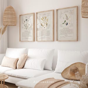 Vintage Herbarium Set of 3 Prints, Botanical Prints, Vintage Kitchen Wall Art,  Cottage & Farmhouse Wall Art, DIGITAL DOWNLOAD, BT019