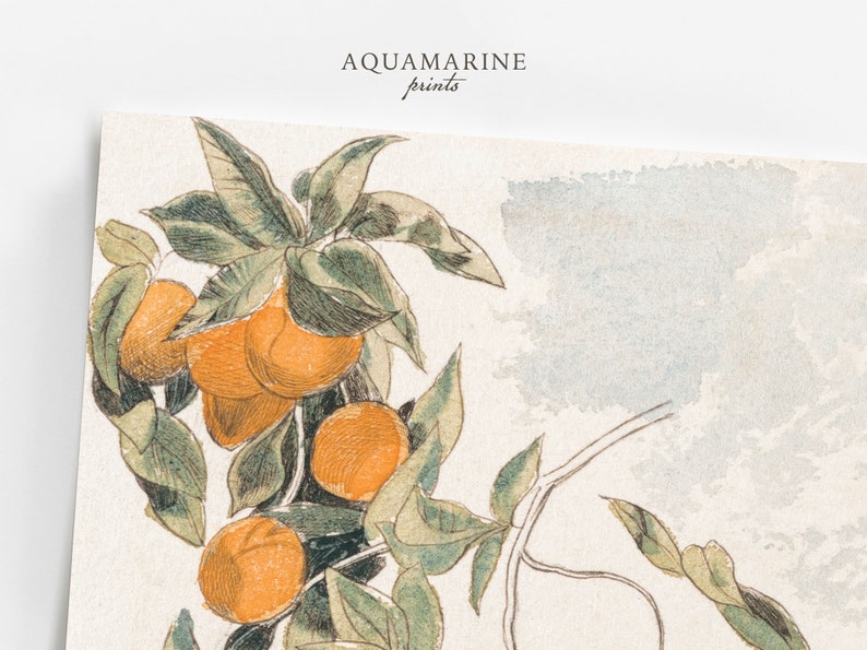 PRINT & SHIP, Orange Tree Vintage Art, Set of 2 Prints, Orange Tree Print, Mediterranean Wall Art, Vintage Kitchen Printed Wall Art, Mailed Art Print, Minimalist Wall Art, Printed Shipped, Summer Cottage Print, Beach House Wall Art, French Cottage