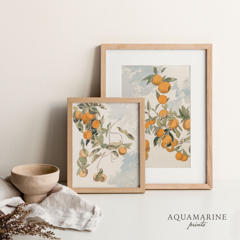 PRINT & SHIP, Orange Tree Vintage Art, Set of 2 Prints, Orange Tree Print, Mediterranean Wall Art, Vintage Kitchen Printed Wall Art, Mailed Art Print, Minimalist Wall Art, Printed Shipped, Summer Cottage Print, Beach House Wall Art, French Cottage