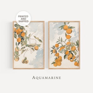 STAMPA E SPEDIZIONE, Set di 2 stampe di alberi di arancio, Arte murale di alberi di arancio, Decorazione mediterranea, Arte murale fisica per la cucina, Stampe artistiche spedite