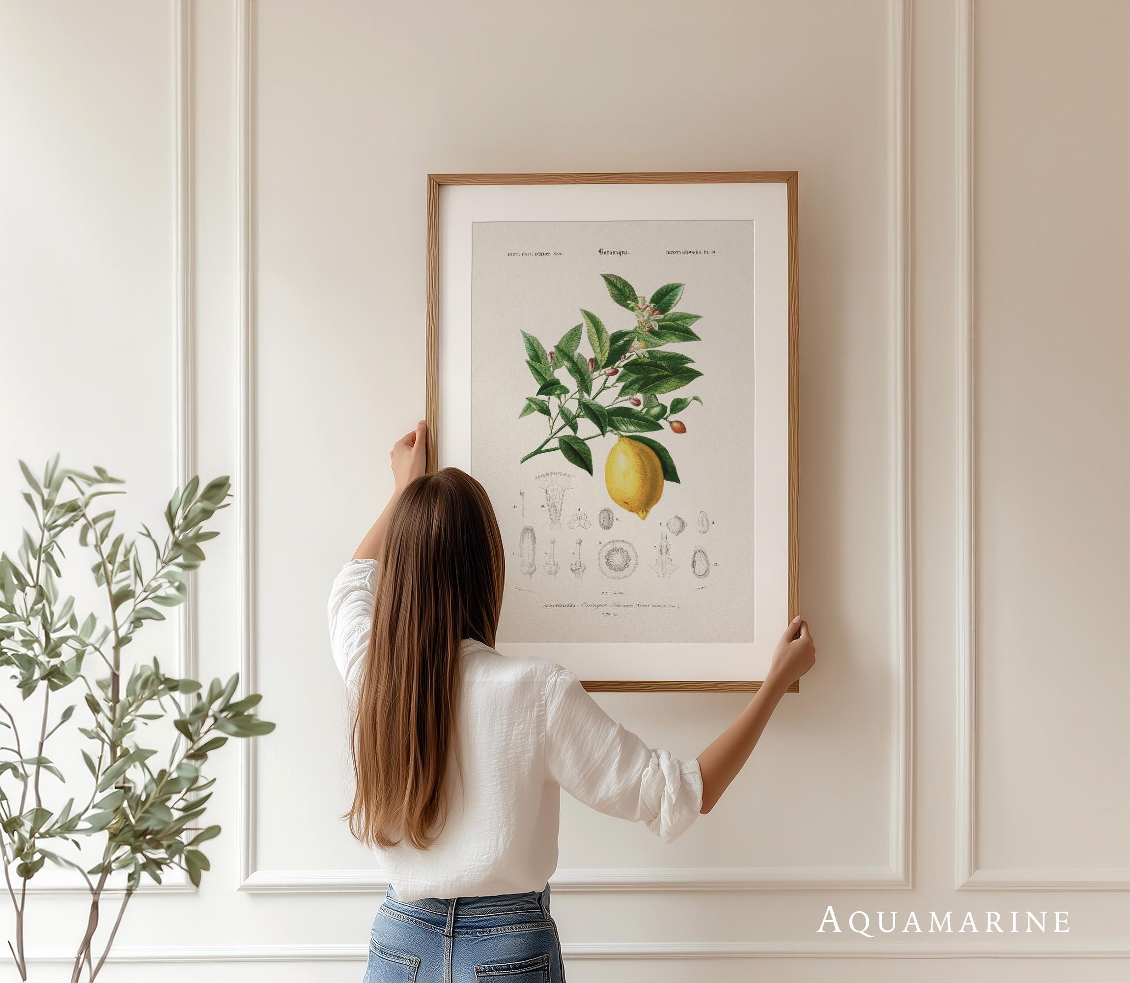 Vintage Lemon Botanical Print: Cottage Kitchen Wall Art (digital ...