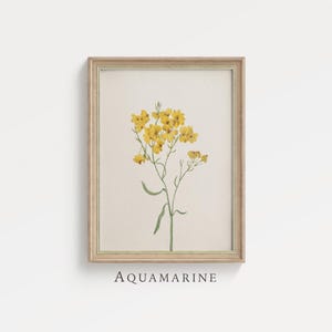affiche botanique vintage, étude aquarelle de petites fleurs, art mural pour chambre d'enfant, impression numérique chalet et ferme, téléchargement numérique - BT075