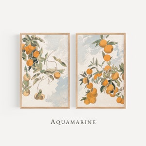 Conjunto de naranjos de 2 grabados, arte imprimible de naranja y limón, arte de pared de cítricos, decoración de cocina, arte de pared minimalista, descarga digital - DS064