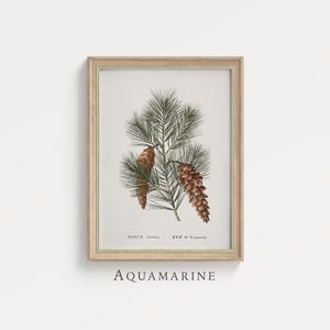 Décoration vintage de vacances d'hiver, impression botanique, impression de pommes de pin, décoration de vacances de chalet, décoration rustique de Noël pour la maison, TÉLÉCHARGEMENT IMMÉDIAT - BT006