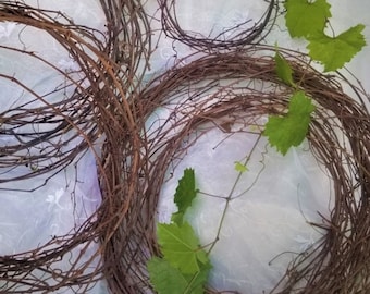 30 ft Fresh Natural Grapevine/DIY Wreath /Holiday/Rustic Decor/Twisted Twigs/Curly Tendrils/ Wedding Garland/Basket /Craft/Floral/Whimsical