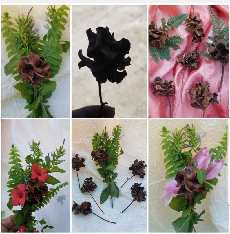 Pu&ograve; includere: Una collezione di boccioli di fiori marroni secchi disposti in un bouquet con felci verdi e fiori blu. I boccioli di fiori sono disposti in vari modi, tra cui un singolo bocciolo, un gruppo di boccioli e un bouquet di boccioli.