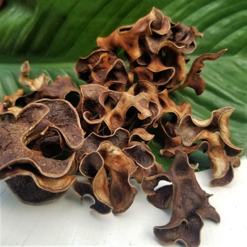 Pu&ograve; includere: Un mucchio di foglie secche, marroni, arricciate e contorte. Le foglie hanno una texture organica unica e sono disposte in uno schema casuale.