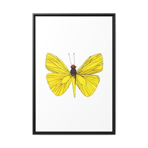 Schmetterling-Druck-Wandkunst, Bleistift-Schmetterling-druckbare Kunst, Schmetterling-Druck-Kinderzimmer, hellgelber Schmetterling-Druck, Boho-Zeichnung, Insekten-Poster