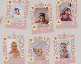 Editable Daisy First Birthday Monthly Photo Cards 5 x 7, Baby Girl Birthday Banner, 1st Birthday Decor High Chair Banner Printable Corjl