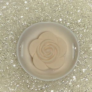 Vaporisateurs de douche d’aromathérapie