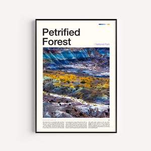 Versteinerter Wald Nationalpark Druck, Versteinerter Wald Druck, Versteinerter Wald Poster, Versteinerter Wald Wandkunst, Versteinerter Wald Kunstdruck