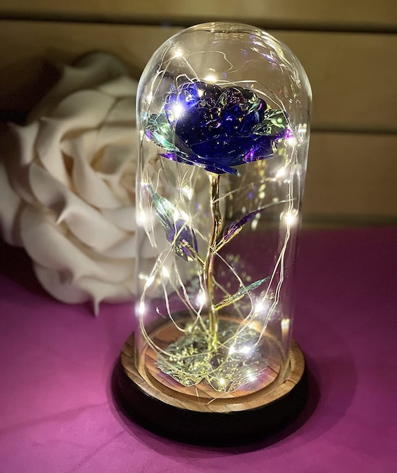 Beauty and The Beast Rose Enchanted Flower with LED Light in Glass Dome for  Christmas Valentine's Day Mother's Day Birthday Colorful- Violet