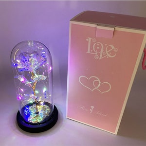 Lights Everlasting Crystal Rose in Glass Dome LED Rose Flower Gift for Anniversary Valentines Girlfriend Wife Women, Birthday