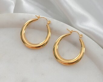 Large Horseshoe Hoop