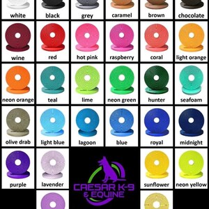 May include: A chart of 20 different colored round dog training discs. The discs are arranged in four rows of five. The colors include white, black, grey, caramel, brown, chocolate, wine, red, hot pink, raspberry, coral, light orange, neon orange, teal, lime, neon green, hunter, seafoam, olive drab, light blue, lagoon, blue, royal, midnight, purple, lavender, amethyst, sunflower, neon yellow, and gold. The chart also includes the text "CAESAR K-9 & EQUINE".