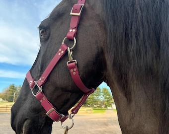 Biothane Halter 1&quot;