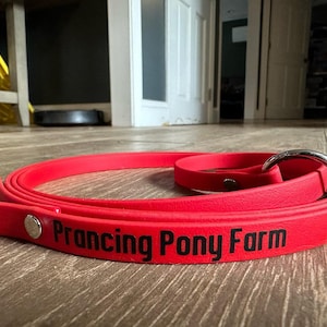 May include: A red rubber dog leash with a silver ring and the text "Prancing Pony Farm" printed on it.