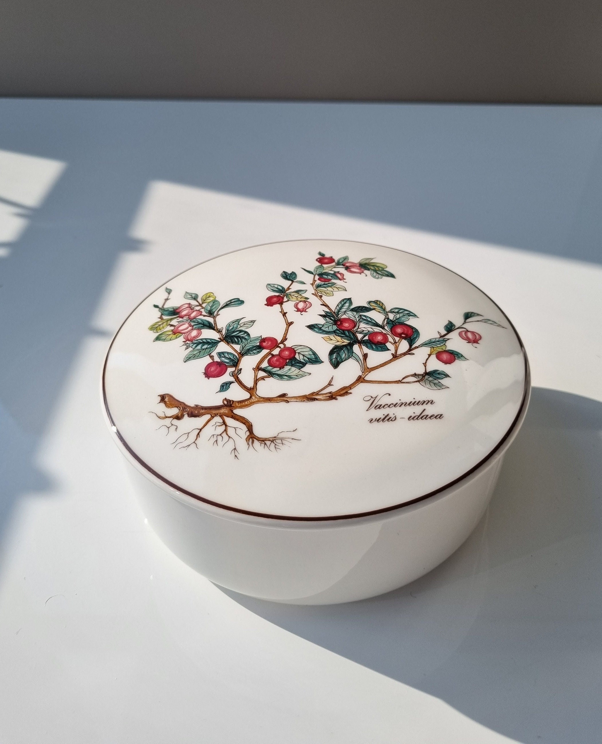 alias Absorberend Kameraad Gorgeous Villeroy & Boch Vintage Botanica Round Lidded Trinket - Etsy Sweden