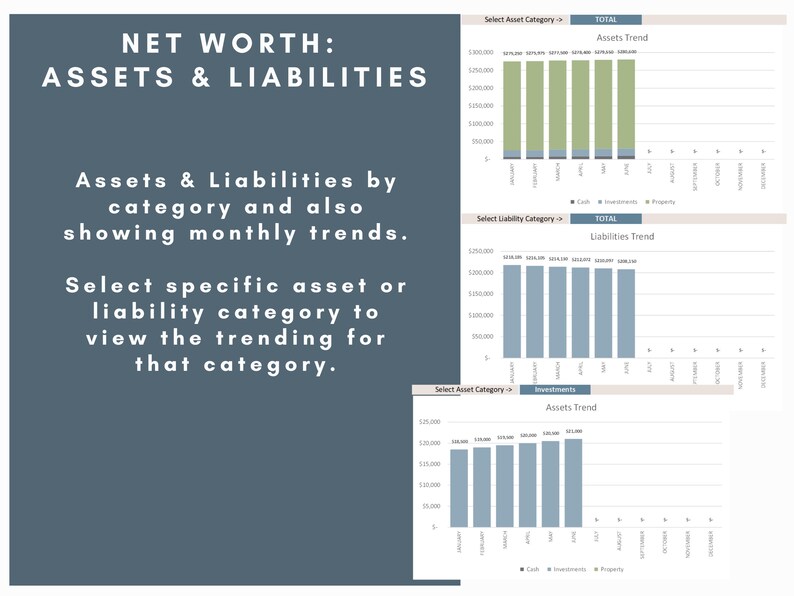 Wealth Management Dashboard excel Template Etsy