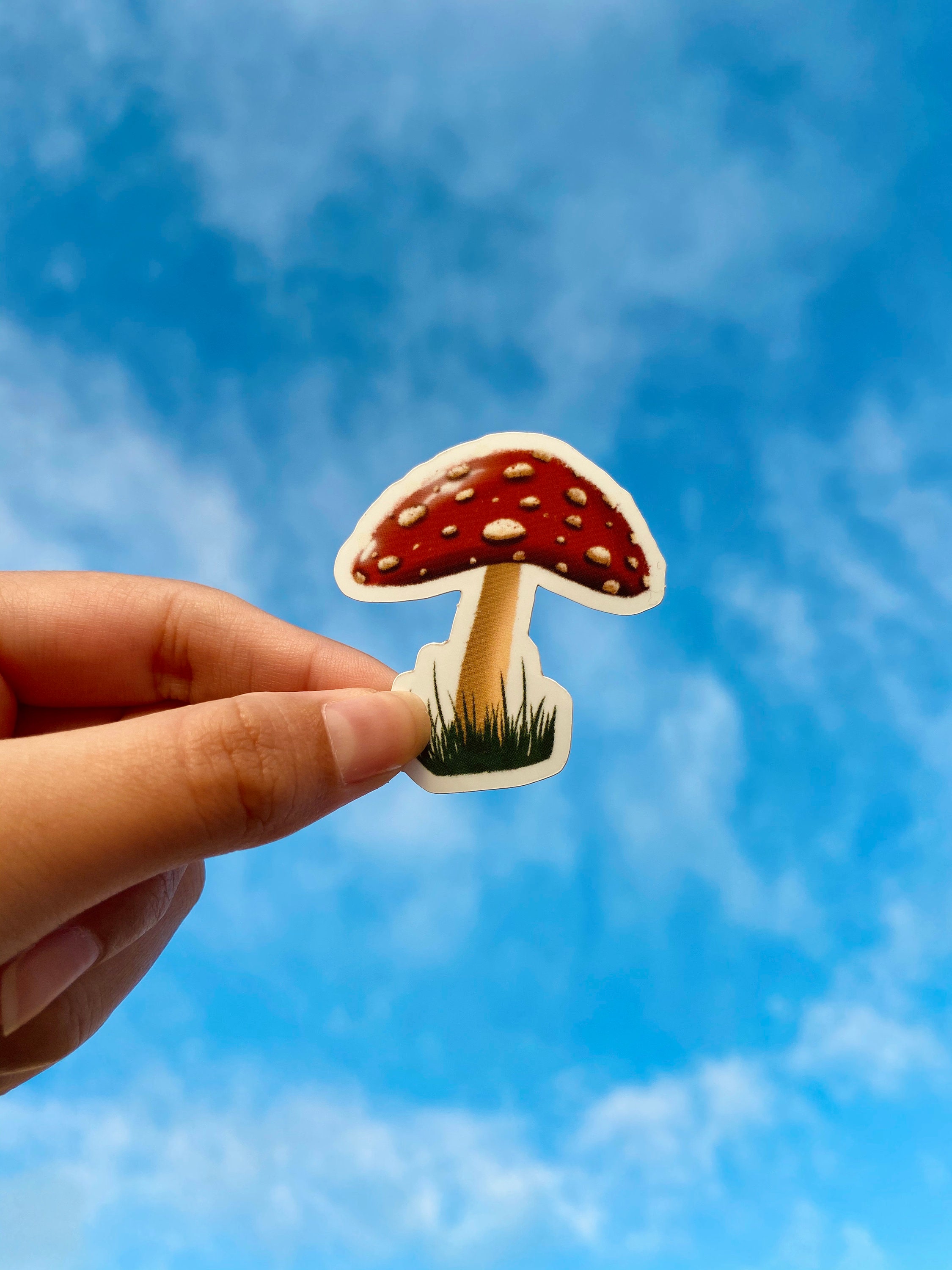 Mushroom Sticker Etsy