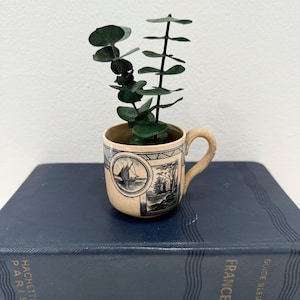 Puede incluir: Una taza pequeña de cerámica de color crema con un diseño en blanco y negro de un velero y árboles. La taza tiene un asa y está llena de una rama de eucalipto verde.