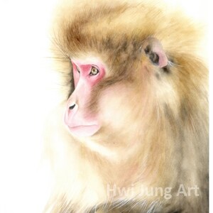 Monkey Watercolor Painting
