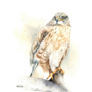Hawk Watercolor Painting