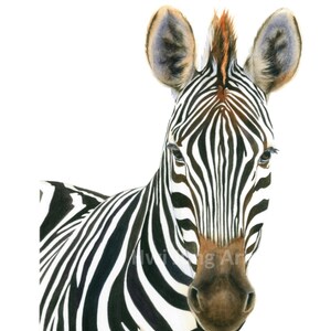 Zebra Aquarell Malerei