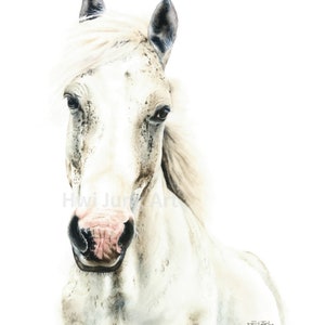 Peinture à l’aquarelle de cheval blanc
