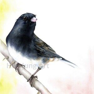 Junco Watercolor Painting