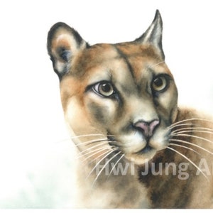 Cougar Watercolor Painting