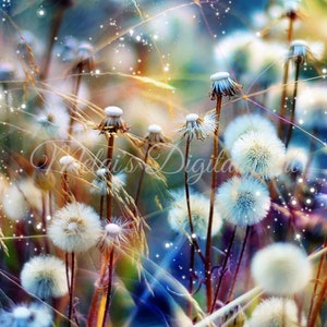 Colorful Dandelion Field 20oz Skinny Straight Tumbler Wrap, Instant Download, Digital File, PNG