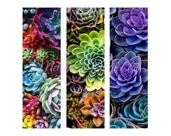 Beaux papiers peints floraux succulents, téléchargement immédiat, fichier numérique, PNG