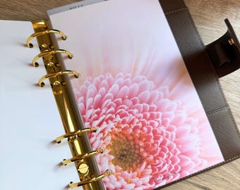 Petal Kiss Line A5/A6 Dashboard | Budget Binder Dashboard | Luxe Linen Paper | Budget Binder Insert | A6 Budget Accessories