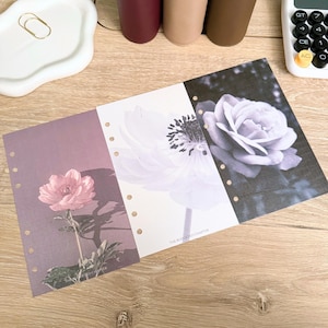 May include: Three-panel planner inserts featuring floral designs. The panels display a pink peony, a white anemone, and a black and white rose. Each panel has a series of holes for binding. The text "THE BUDGETED CHAPTER" is printed at the bottom of each panel.