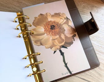 Golden Petal Line A5/A6 Dashboard | Budget Binder Dashboard | Luxe Linen Paper | Budget Binder Insert | A6 Budget Accessories