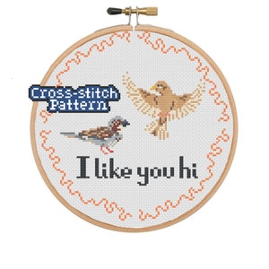 The Sparrow - A counted cross stitch pattern download of the bird. 6.9in x 6.9in in 16 count aida. For round frame and DMC colours.