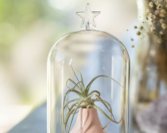 Versatile Glass Display Case - Ideal for Figurines and Decor