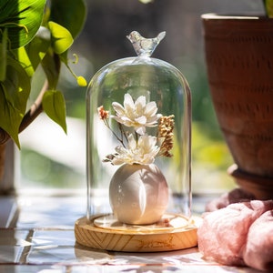 Glass Dome with Wooden Base for Stylish Showcases