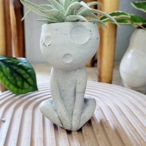 Kodama planter Kodama Kodama air plant holder Cement air plant holder Unique plant holder Cement kodama planter Air plant decor image 1