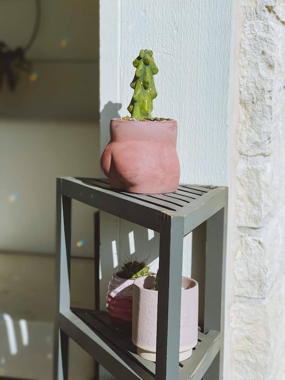Neutral Body Planter | Minimalist Concrete Planter Succulent Indoor Planter Small Booty Plant Pot Just Peachy Female Body Vase